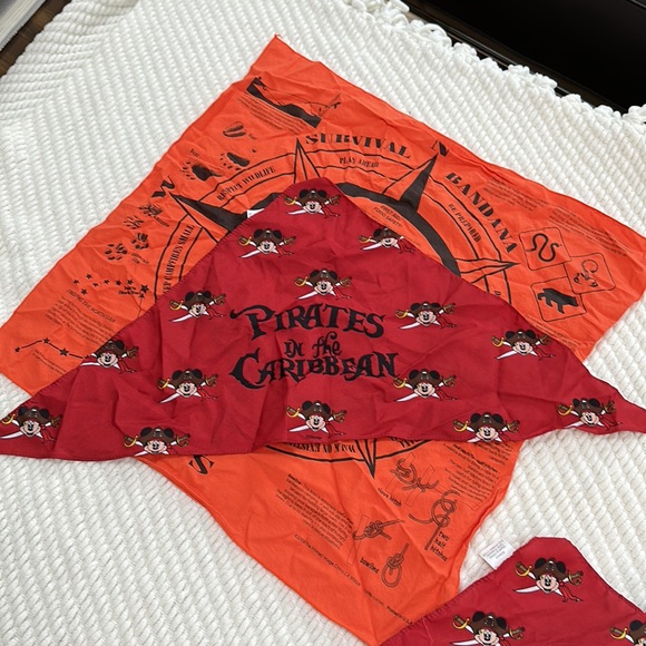 Set of four bandanas - two Disney, one Thomas the Train, one Survival Tips - Picture 8 of 16